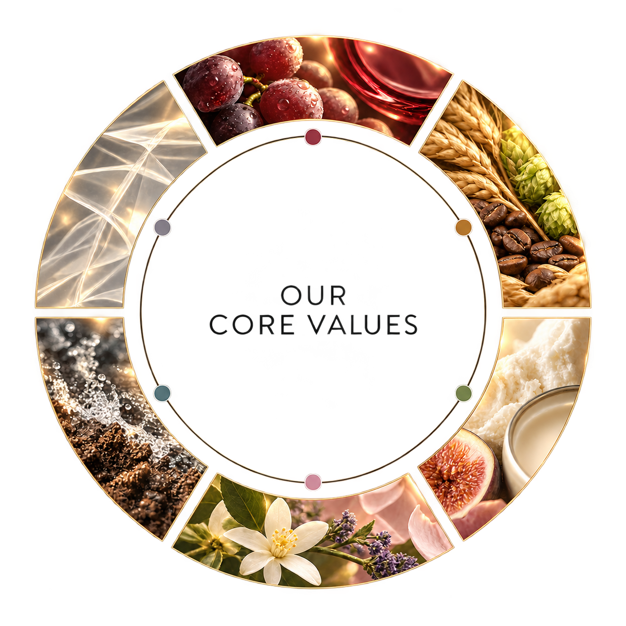 Our Core Values: Inspiration, Accessibility, Stewardship, Community, Innovation, Quality